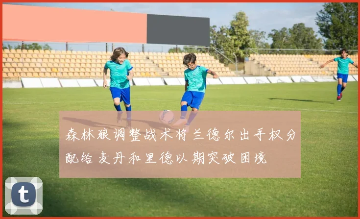 森林狼调整战术将兰德尔出手权分配给麦丹和里德以期突破困境