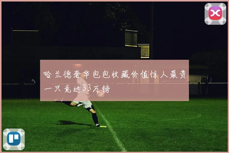 哈兰德奢华包包收藏价值惊人最贵一只竟达33万镑